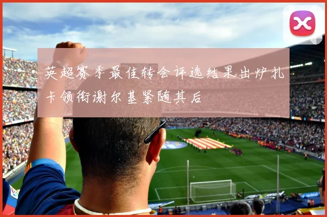 英超赛季最佳转会评选结果出炉扎卡领衔谢尔基紧随其后